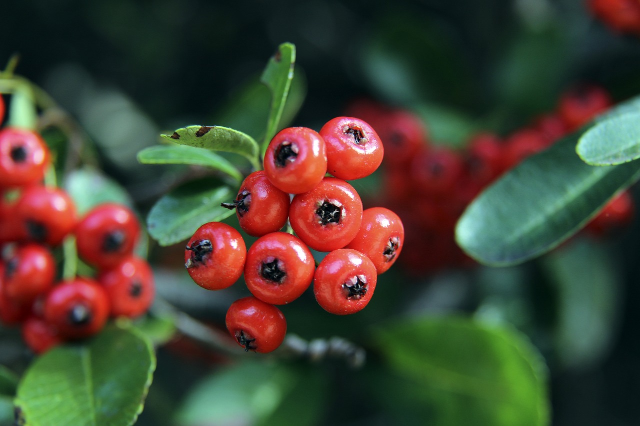的快节奏中 的快节奏中