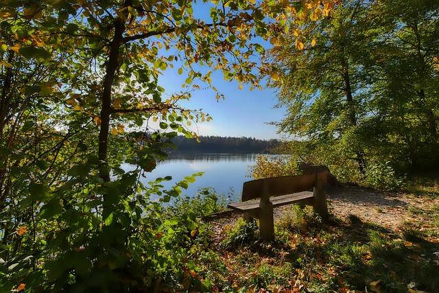 东契奇在这 东契奇在这