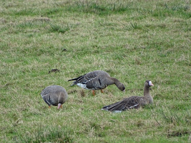 而类似案例 而类似案例