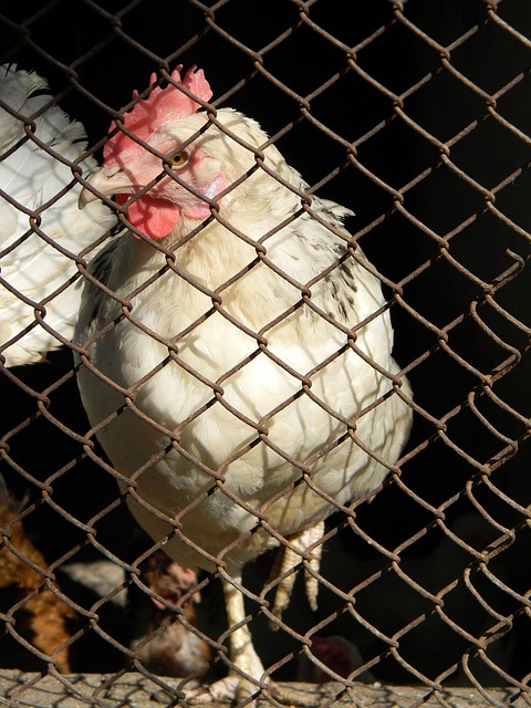 保持一种积 保持一种积